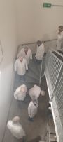 Bio-Felsenkellerei Besucher