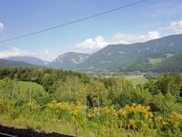 Blick aus dem Zug