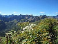 Blick vom Fellhorn