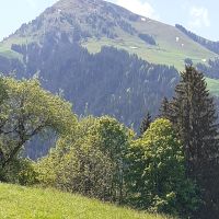 Blick vom Gruberhof