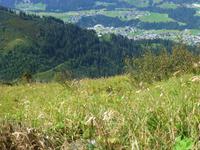 Blick vom Nebelhorn