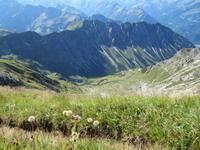 Blick vom Nebelhorn