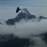 Blick vom Nebelhorn