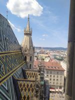 Blick vom Stephansdom auf die Stadt, Wien