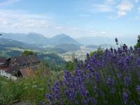 Blick vom Viktorsberg