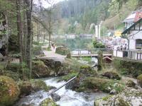 Blick zum Myrateich