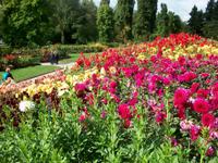 Blumeninsel Mainau