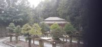 Bonsai Garten