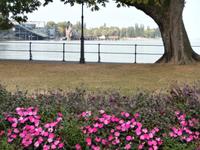 Bregenz