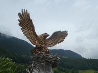 Bregenzer Wald
