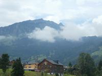 Bregenzer Wald