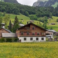 Bregenzer Wald
