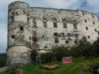 Burg in Gmünd
