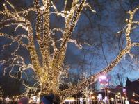 Christkindelmarkt am Rathaus
