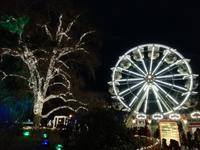 Christkindelmarkt am Rathaus