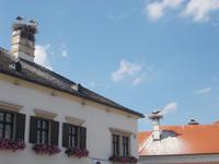 DSCN1440