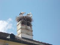 DSCN1441