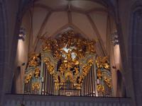 DSCN4058  Orgel Stadtkirche