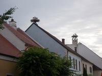 DSCN4128