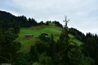 Der Hahnenkamm mit der Alpin-Abfahrt 