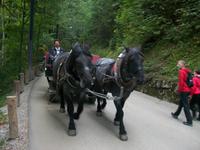 Der Weg zum Schloss
