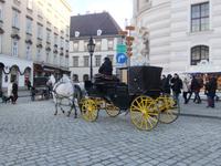 Die Fiaker gehören zu Wien