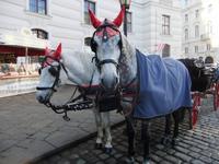 Die Fiakerpferde haben sich für die Gäste weihnachtlich geschmückt