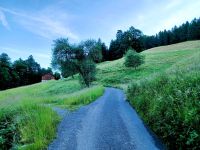 Die Natur am Hotel 