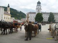Fiaker am Domplatz