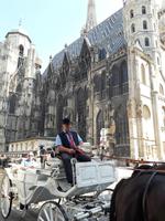 Fiaker am Steffl