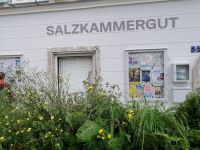 Freizeit in Mondsee