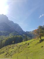 Griesner Alm