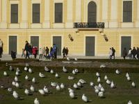 Hinter dem Schloss