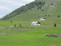 Hochalm am Tratberg