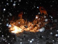 Hofalm Weihnacht