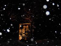Hofalm Weihnacht