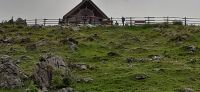 Hofalmen
