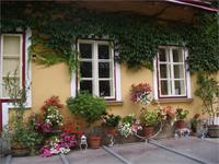 Hofidyll im Weingut