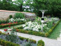 Im Rosengarten
