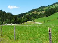 Im Windautal