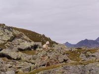 Impressionen