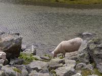 Impressionen