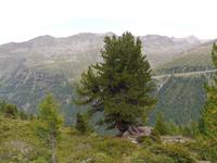 Impressionen