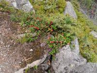 Impressionen