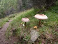 Impressionen