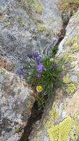 Impressionen