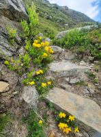 Impressionen