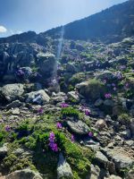 Impressionen