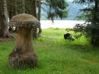 Impressionen