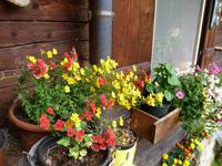 Impressionen